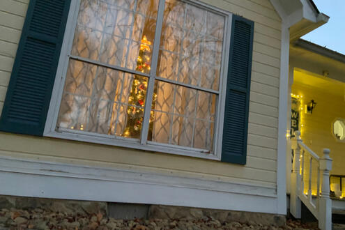 other do-not-eat tree