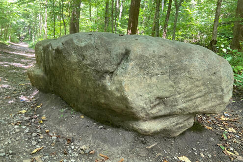 big rock