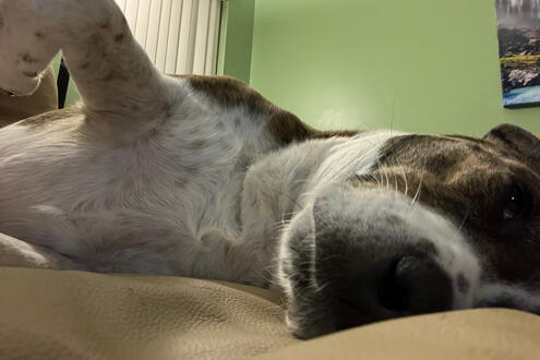 selfie