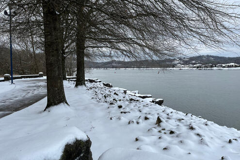 snowy park