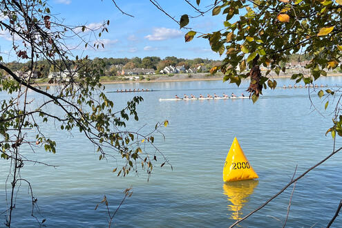 canoes again