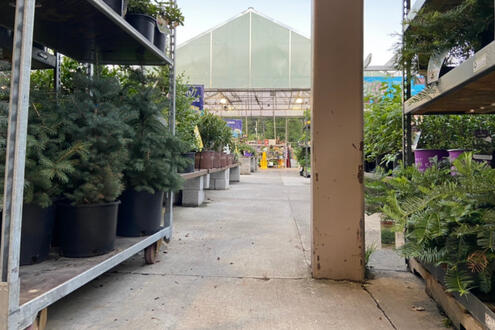 beautiful lowes