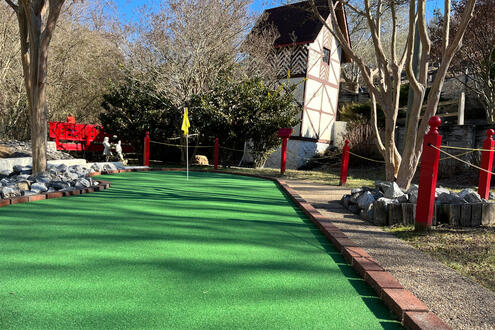 golf on fake grass
