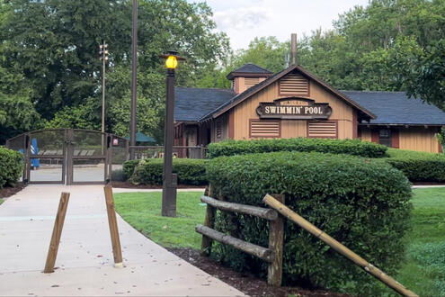 disney wilderness