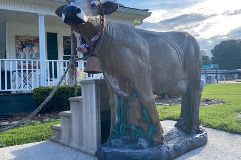 fake cow