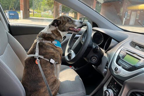 This Was NOT a Typical Car Ride Experience