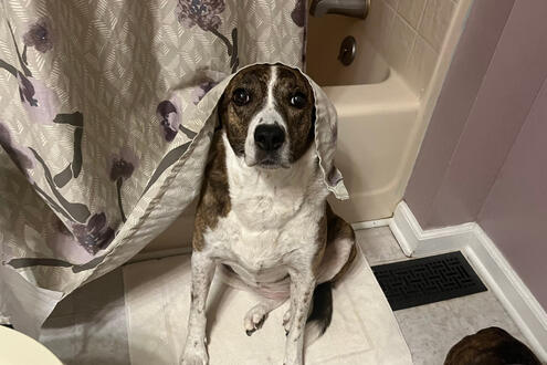 Scared of Thunderstorms