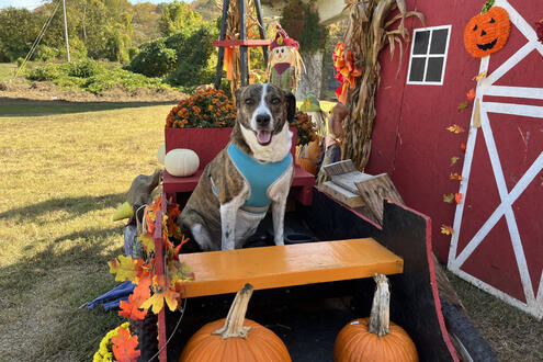 Fall Photos