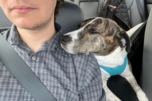 Another Frequent Car Experience