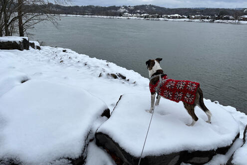 Snow by the River