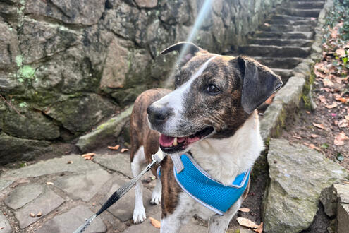 Posing in Glorious Lens Flare ;)