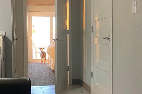 First Beach Trip- Looking at the Ocean